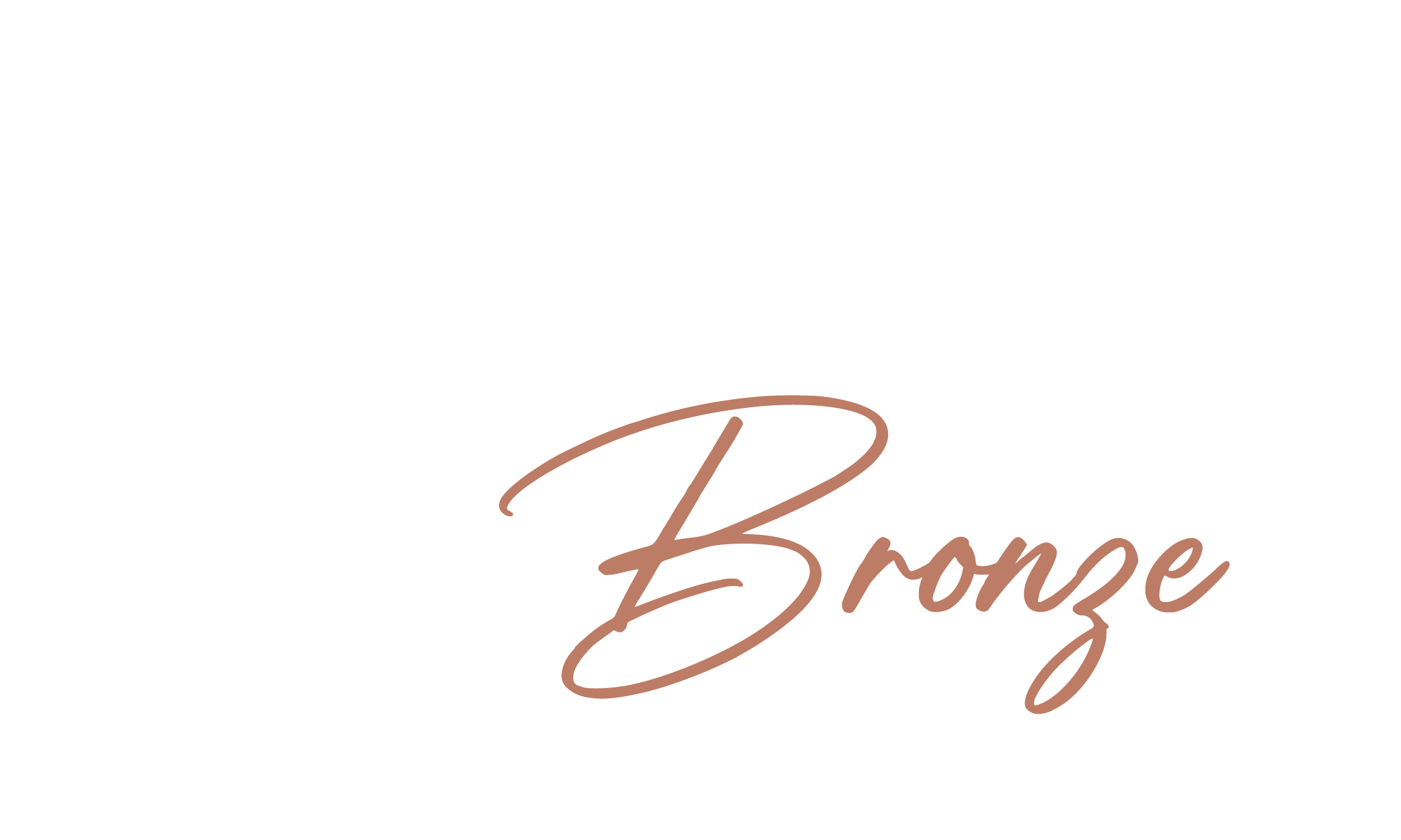 Plan Privilege Bronze