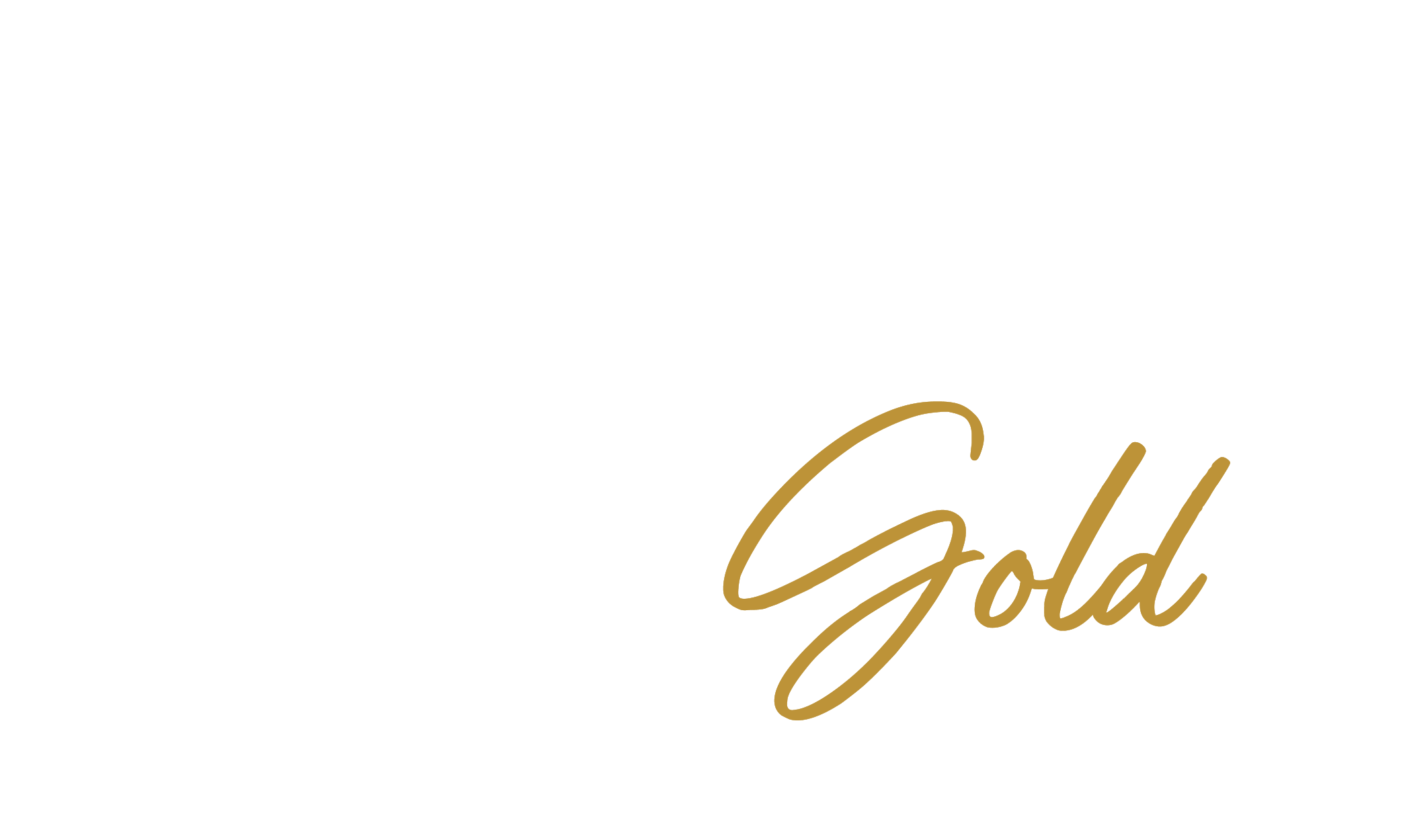 Plan Privilege Gold