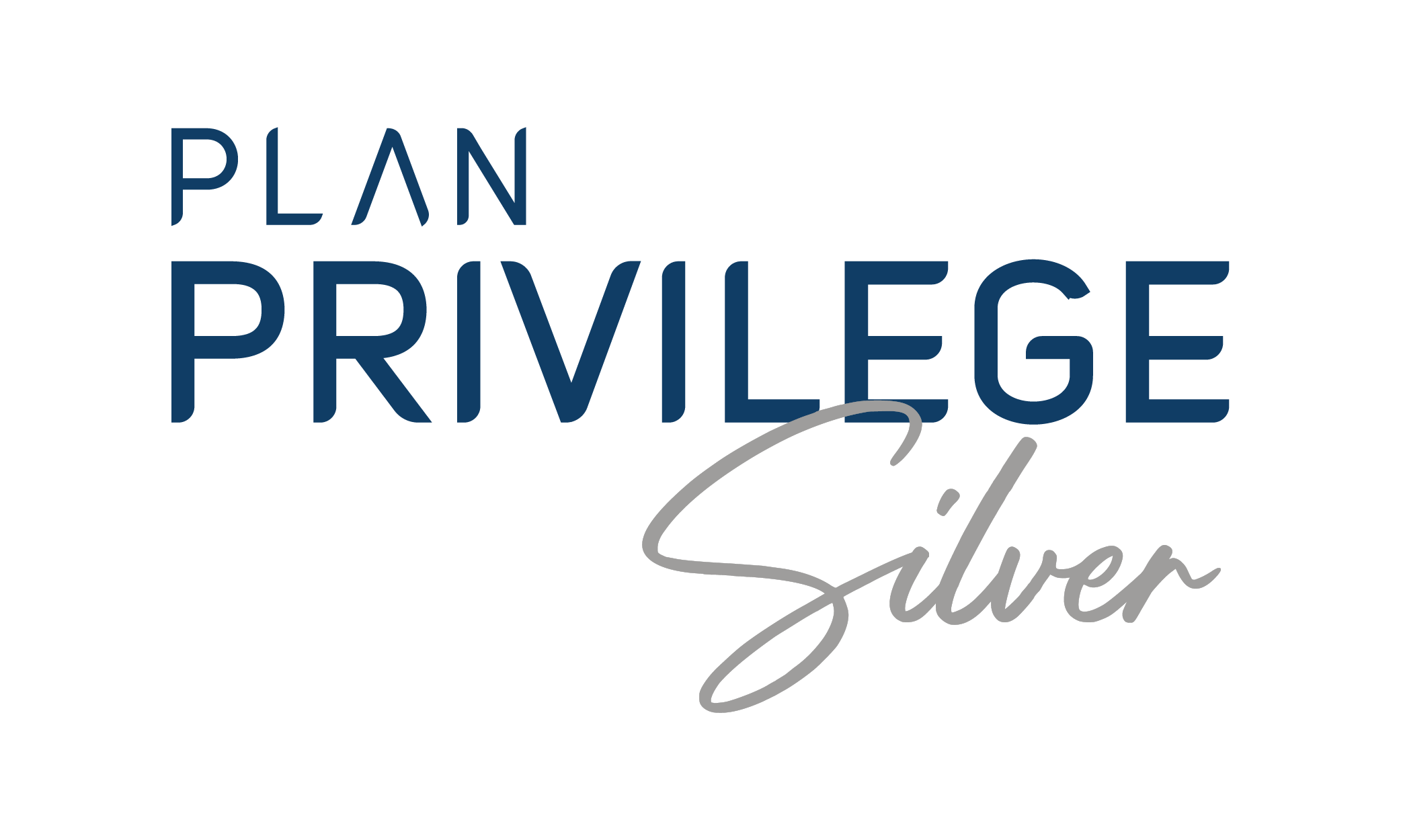 Plan Privilege Silver